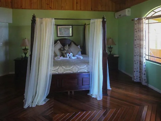 Villa Luxury 10 Bedroom Villa-millbrooks Montego Bay