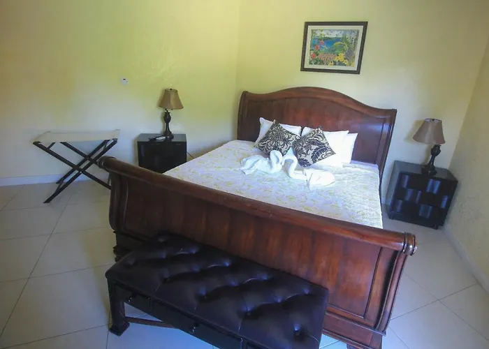 Luxury 10 Bedroom Villa-millbrooks