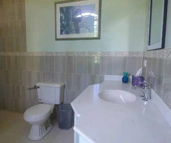 Luxury 10 Bedroom Villa-millbrooks Montego Bay