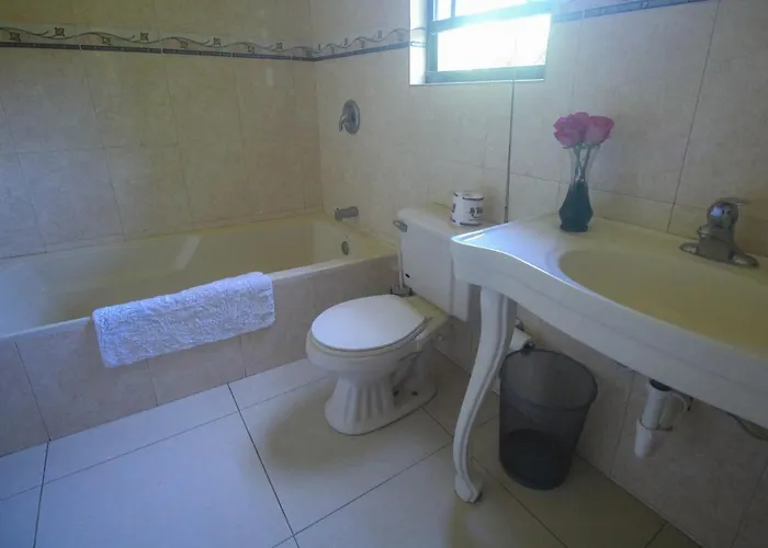 Villa Luxury 10 Bedroom Villa-millbrooks Montego Bay